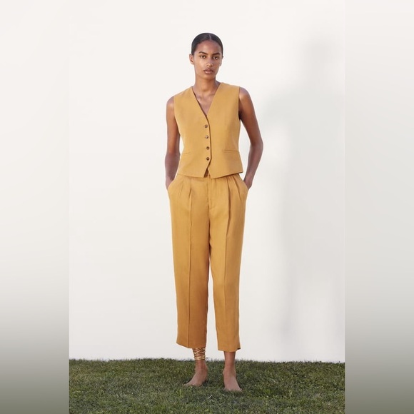Zara Pants - Zara Pleated Ankle Pant